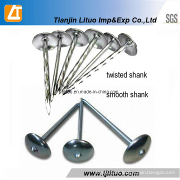 Plain / Twisted Shank Umbrella Head Gavlvanized Roofing Nails